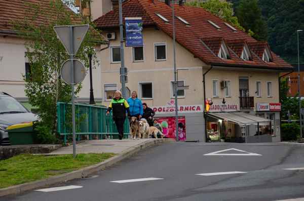 Pomladni tečaji uspešno zaključeni
